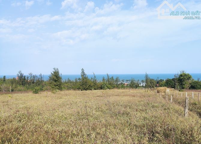 Bán 4000m2, 1HA Đất Mặt Tiền đường Âu cơ, xã Tiến Thành, Gần Novaworld Phan Thiết - 4