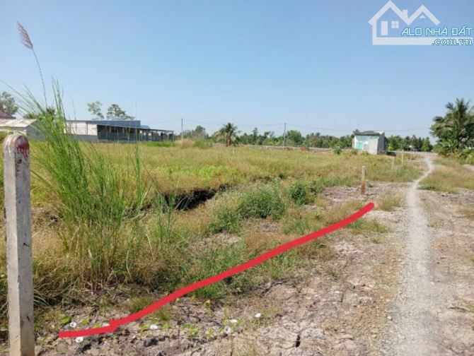Chủ gửi bán 1000m2 đất vườn. Lương bình - bến lức - long an - 4