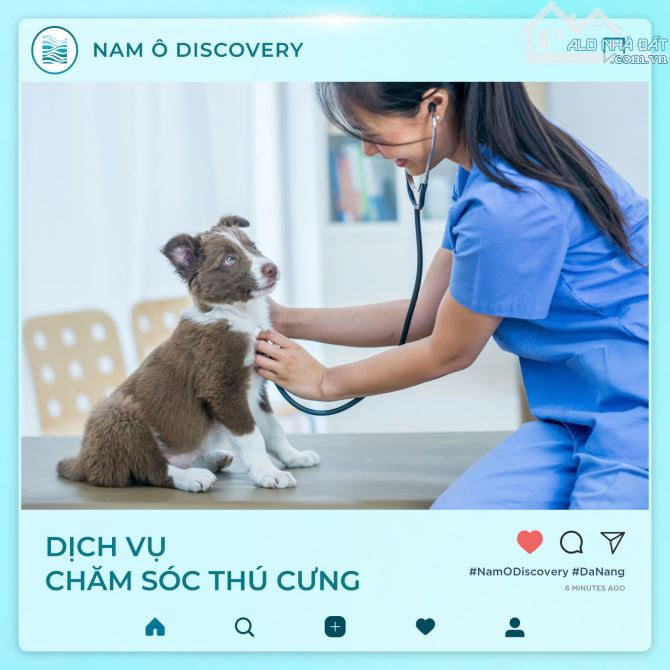 Sở Hữu Căn Hộ 5 Sao Tại Nam Ô Discovery – Trả Góp Chỉ Từ 135 Triệu/Tháng! - 5