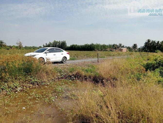 Chủ gửi bán 1000m2 đất vườn. Lương bình - bến lức - long an - 5