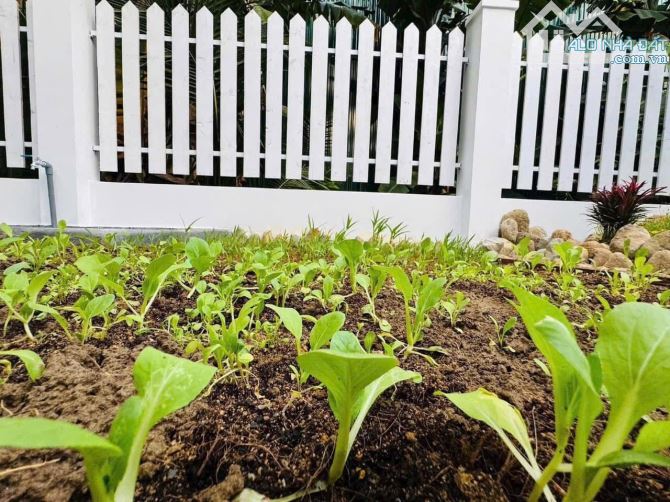 Bán nhà vườn gần Cây Dầu Đôi Diên Khánh - 6