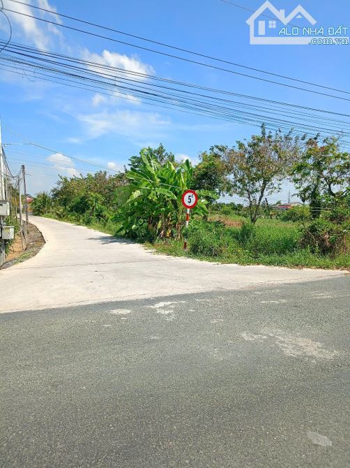 Bán đất 5 × 39 xã An Vĩnh Ngãi TP Tân An tỉnh Long An