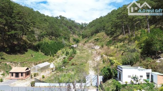 Bán 4hecta ( 40.000m2) sẵn 1100m2 xây dựng ngay chân đèo pren, xung đồi thông