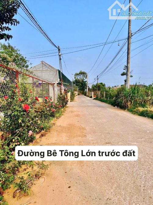 ✨ SIÊU PHẨM GIÁP SUỐI: 5x60m (75m2 ONT), cạnh SB Liên Khương, cách QL20 hơn 1Km - 1.32 Tỷ