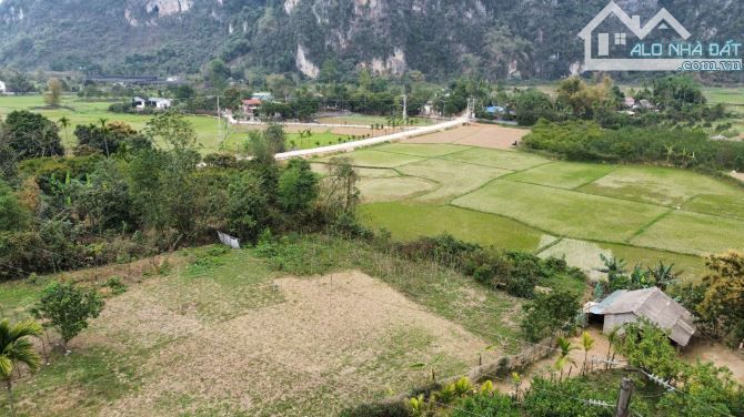 bán đất cao sơn lương sơn hb view cánh đồng núi non siêu đẹp 1400m 300m thổ cư giá rẻ - 1