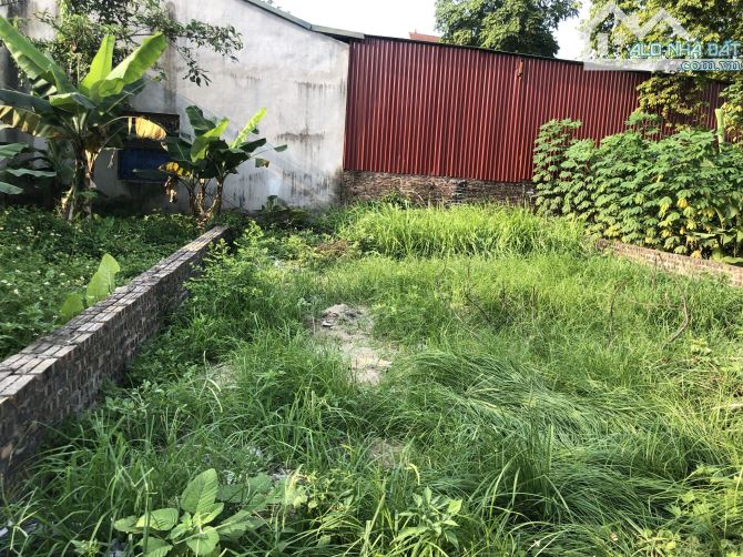 Bán 52m2 đất Lệ Chi, đường 3.8m, ô tô tận đất, sát đường liên xã, đất nở hậu, hướng mát - 1