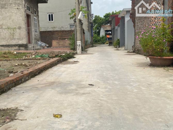 💥 Bán đất 95m² tại Thôn Đình Trung, Xã Xuân Nộn, Đông Anh, Hà Nội - 1