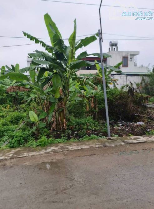 Hàng mới 100m2 Ngõ 93 Tân Thành, Dương Kinh, Hải Phòng - 1