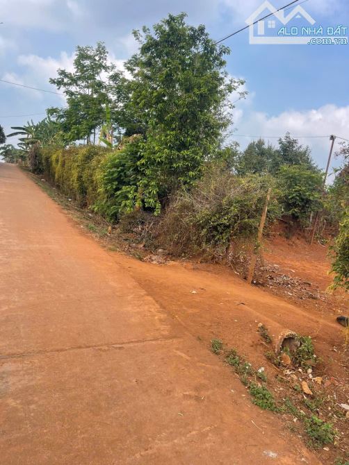 Lên 1 em chân siêu dài cho nhà đầu tư Cư Pơng - Krông Búk - Đắk Lắk - 1