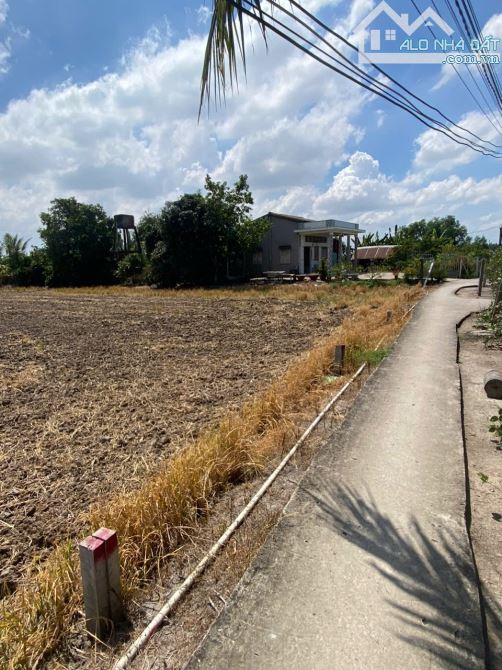 Bán 341 Đất Thổ Long Hoà Cần Đước Giá 2tr/m - 1