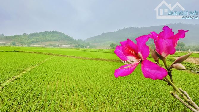 ĐẤT - HỒ CẦU BÃI. XÂY NHÀ VƯỜN - NGHỈ DƯỠNG. VIEW 3 THOÁNG SÁNG TỰ NHIÊN, 9 TRIỆU / MÉT. - 2