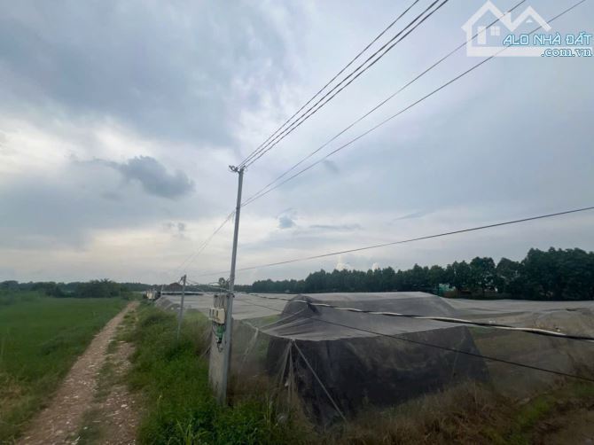 Đất SKC. Đường xe cont. 1h6 hơn 1tr/m2 cần bán gấp. Xuân Thới Thượng - 2