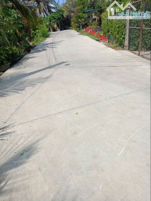 Bán đất 5 × 39 xã An Vĩnh Ngãi TP Tân An tỉnh Long An - 2