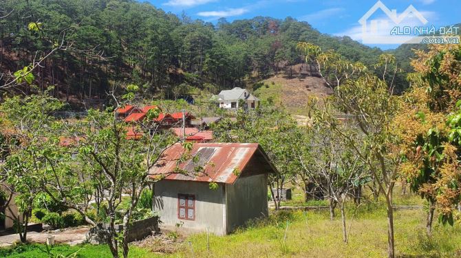 Bán 4hecta ( 40.000m2) sẵn 1100m2 xây dựng ngay chân đèo pren, xung đồi thông - 2