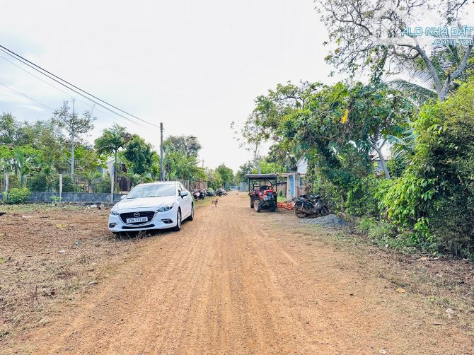 TARA - HOÀ ĐÔNG ĐIỂM ĐẦU CÁC DỰ ÁN LỚN PHÁT TRIỂN TP BUÔN MA THUỘT - 3