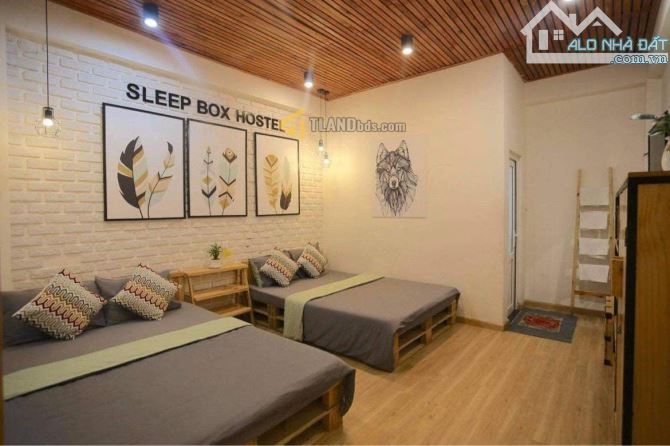 Homestay KQH Mạc Đĩnh Chi, Phường 4, Đà Lạt với nguồn thu ổn định 30 triệu/tháng 11.5 tỷ - 3