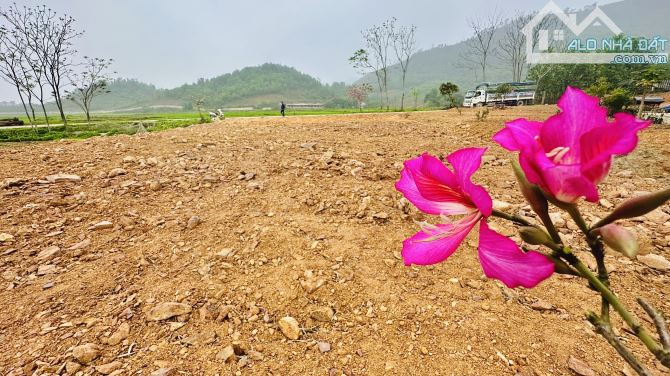 ĐẤT - HỒ CẦU BÃI. XÂY NHÀ VƯỜN - NGHỈ DƯỠNG. VIEW 3 THOÁNG SÁNG TỰ NHIÊN, 9 TRIỆU / MÉT. - 3