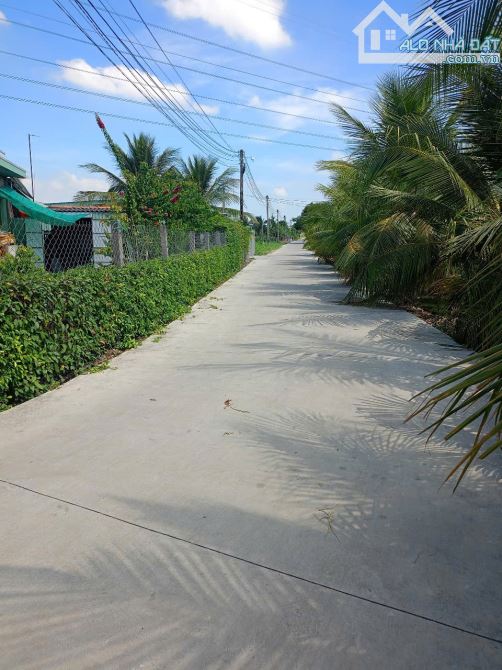 Bán đất 5 × 39 xã An Vĩnh Ngãi TP Tân An tỉnh Long An - 3