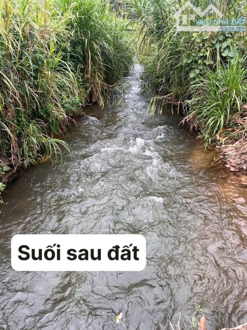 ✨ SIÊU PHẨM GIÁP SUỐI: 5x60m (75m2 ONT), cạnh SB Liên Khương, cách QL20 hơn 1Km - 1.32 Tỷ - 3