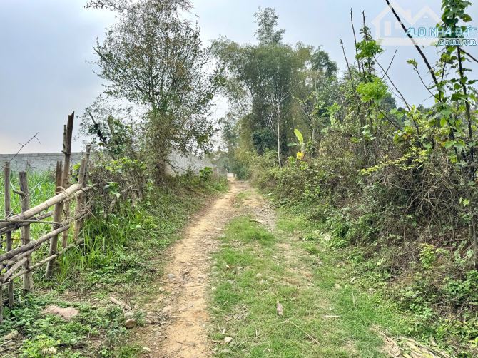 900m Full Thổ Cư - Phân Lô Đẹp - View Sông Bôi - 3