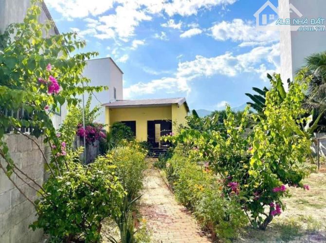 Nhà vườn 392m2 (180m thổ cư)  tại Vĩnh Ngọc - Nha Trang. Giá chỉ 12tr/m (hoặc 4tỷ7) - 4