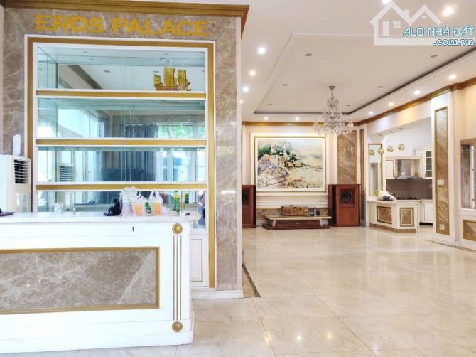 BÁN BIỆT THỰ ĐƯỜNG PHAN THÚC DUYỆN GẦN SÂN BAY TÂN SƠN NHẤT - 4