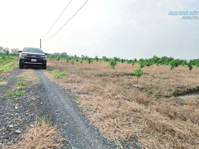 Hàng thơm, 1000m2 đất vườn view kênh 20x 53m chỉ 820tr - 5