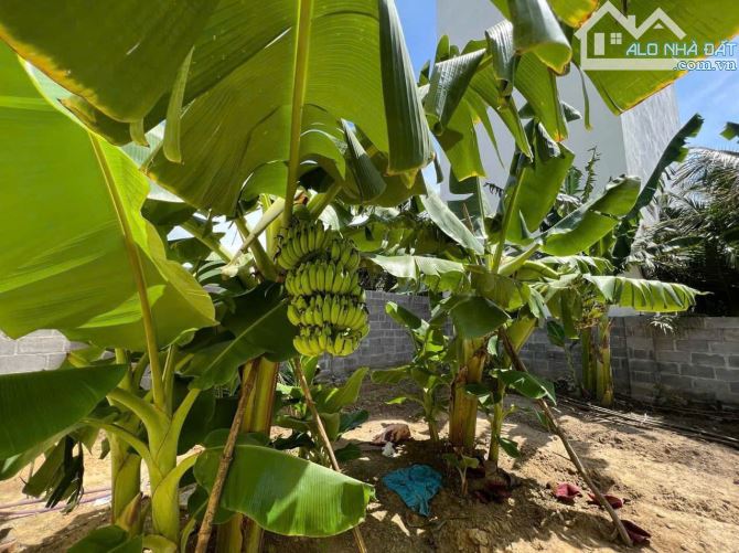 Nhà vườn 392m2 (180m thổ cư)  tại Vĩnh Ngọc - Nha Trang. Giá chỉ 12tr/m (hoặc 4tỷ7) - 6