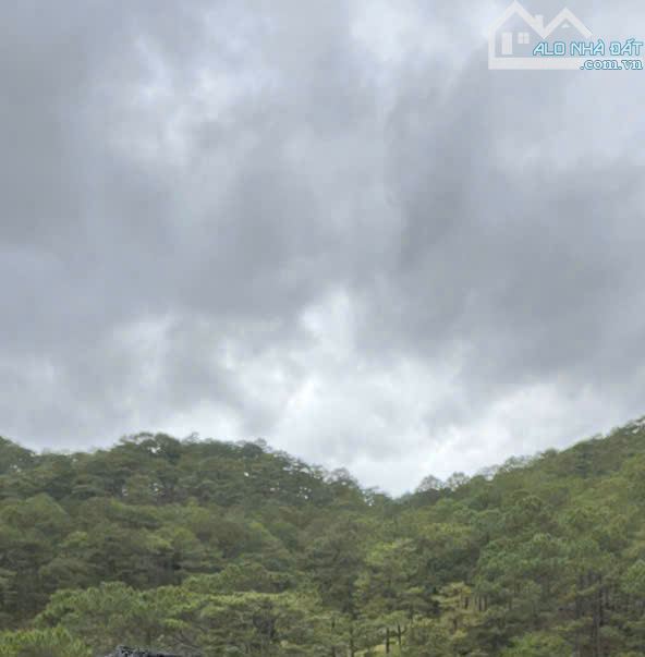 Đất biệt thự VIEW THÔNG -  Hoàng Hoa Thám - P10 - Đà Lạt - 252m2 - 9 tỷ 1