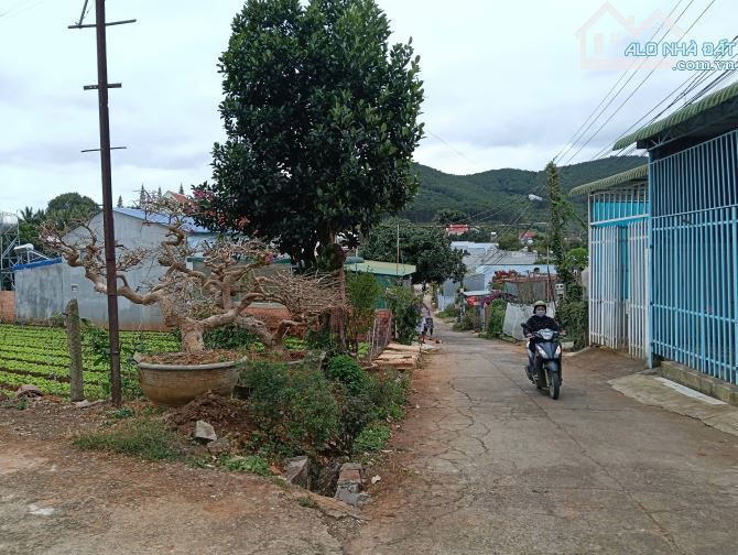Đất nền trung tâm Liên Nghĩa, gần sân bay Liên Khương Đức Trọng Lâm Đồng