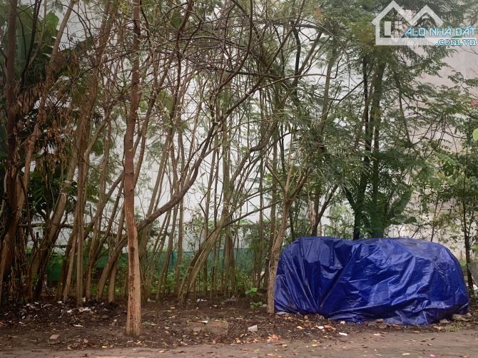 Bán đất kinh doanh mặt phố cổ bi giá đầu tư siêu tốt!