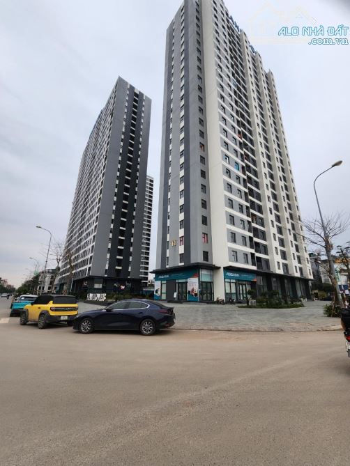 BÁN ĐẤT_ TRÂU QUỲ, GIA LÂM_LÔ GÓC_DT: 45m2 , MT: 4,3m . 8,5 Tỷ