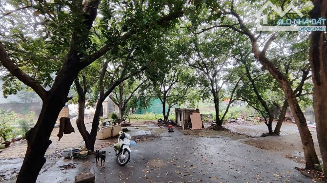 BÁN ĐẤT ÂU CƠ, TÂY HỒ - 1989M2 , MẶT TIỀN 47M - GIÁ 195 TỶ
