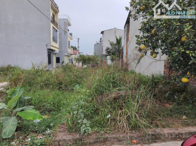 Bán đất tại Tô 1- TT Chi Đông 53 m2, mặt tiền 4.1 giá công nhân chỉ 2,25 tỷ