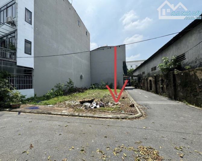 BÁN ĐẤT PHÂN LÔ_TRÂU QUỲ, GIA LÂM. DT:90 m2, MT: 5m. 7,8 tỷ - 1
