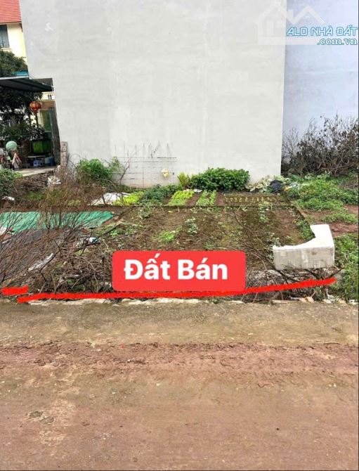 Bán đất Ỷ Lan, Đặng Xá 40m2, mt 4.9m, ô tô 7 chỗ vào đất, 3.56 tỷ - 1