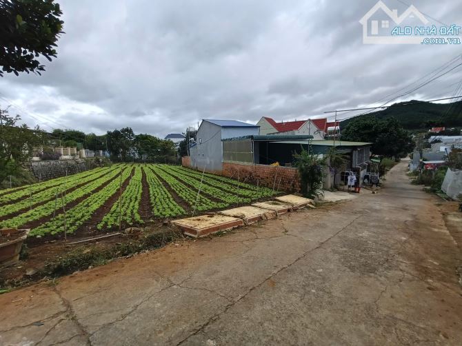 Đất nền trung tâm Liên Nghĩa, gần sân bay Liên Khương Đức Trọng Lâm Đồng - 2