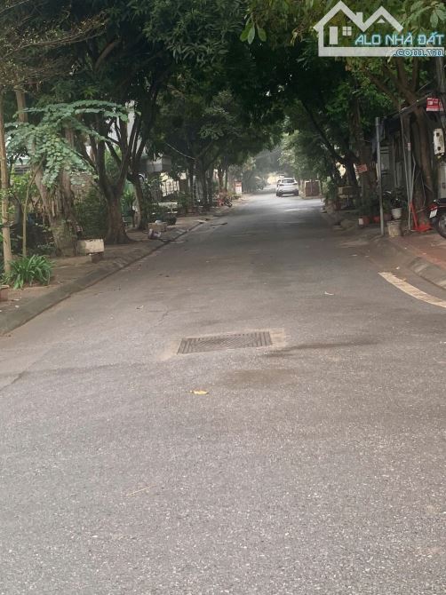 Bán đất kinh doanh mặt phố cổ bi giá đầu tư siêu tốt! - 2