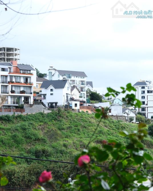 Chủ ở xa gửi bán 1.900m² mặt tiền Đường Đống Đa - P. 3 - Trung Tâm Tp. Đà Lạt Giá Tốt. - 2