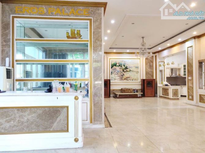 SIÊU HIẾM - Biệt Thự Đẳng Cấp 10x17m – Mặt Tiền Đường Phan Thúc Duyện, Tâm Điểm Sầm Uất Qu - 2