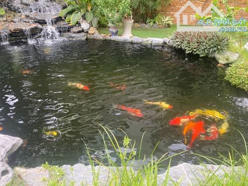 Biệt thự Phú Thượng, Tây Hồ bể cá Koi siêu thư giãn giá 186tr/m2