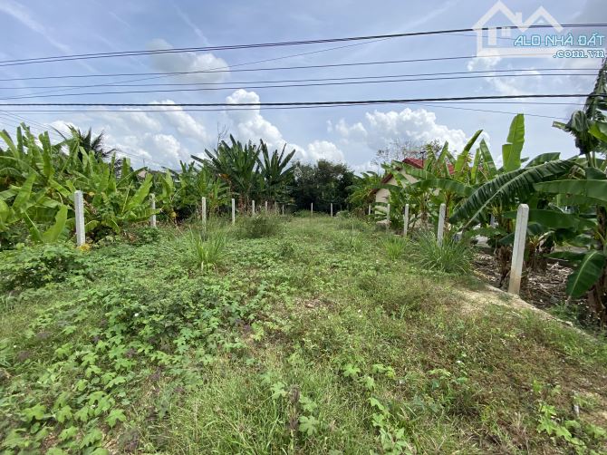 Diên An đất dân mặt tiền đường Bà Đội gần chợ Bà Đề 224m2 - 3