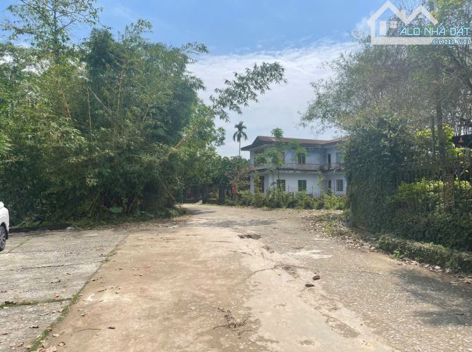Đất 1500m² View Sông Hương TP Huế Phù hợp làm Homestay, nơi nghĩ dưỡng - 3