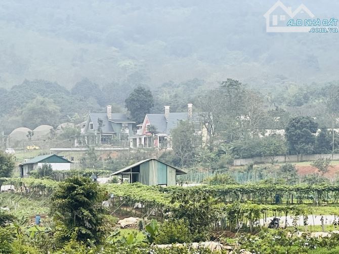 625M2 NỞ HẬU ( 8,5 TR/M2 ) CHỦ NGỘP NỢ MỚI CẦN BÁN GIÁ ĐÓ - 4