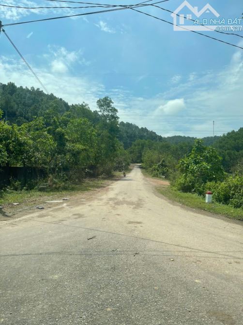 Đất 1500m² View Sông Hương TP Huế Phù hợp làm Homestay, nơi nghĩ dưỡng - 4