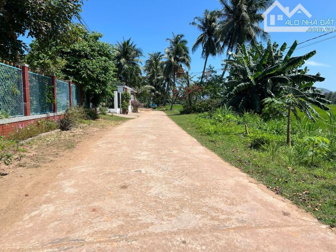 NHÀ MỚI KENG VÀO Ở NGAY, 2 PHÒNG NGỦ, HẺM XE HƠI TỚI CỬA, 189M2, GIÁ NHỈNH TỶ XÍU - 4