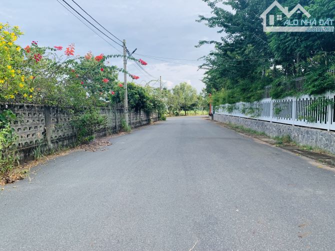 Bán Quả Đồi Gần 3 Mẫu Ngay Tp Bà Rịa. Trồng Full Gỗ Quý - 4