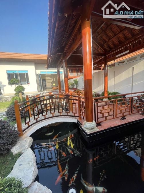 ✨ VILLA GIÁ RẺ (Ngang 10M x Dài 25M) chỉ 2,5 Tỷ - KÊU GIÁ AI CŨNG NGẠC NHIÊN VÌ NÓ QUÁ TỐT - 5