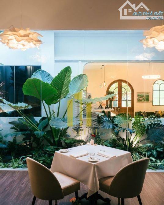 Biệt Thự Sân Vườn Khuôn Viên 600m2 Thuận Tiện Mở Nhà Hàng, Kinh Doanh - 6