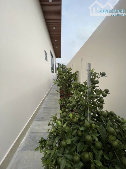 ✨ VILLA GIÁ RẺ (Ngang 10M x Dài 25M) chỉ 2,5 Tỷ - KÊU GIÁ AI CŨNG NGẠC NHIÊN VÌ NÓ QUÁ TỐT - 7